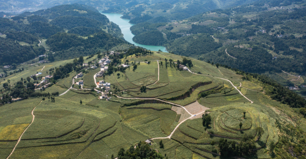 【寻仁迹】长干山区的大茅坡场