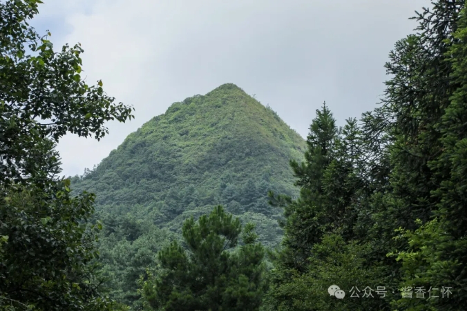 【寻仁迹】学孔大山寨今昔