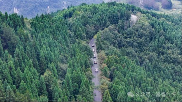 【寻仁迹】奶子山：仁怀人的“氧”人胜地