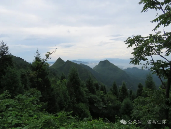 【寻仁迹】奶子山：仁怀人的“氧”人胜地