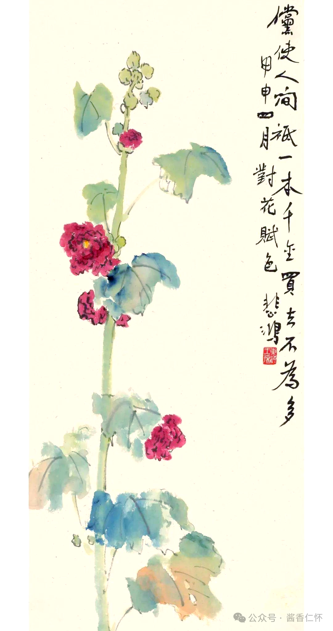 『仁怀物种』如今正是蜀葵时(图4)