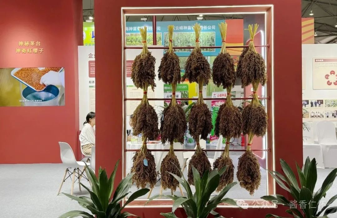 茅台红缨子公司三款产品亮相成都种业博览会引关注
