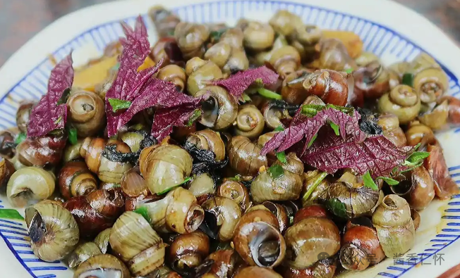 『仁怀物种』未妨无暑药，熟水紫苏香(图3)