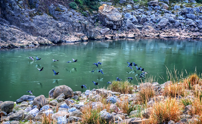 当一条鱼第二次游回赤水河(图6)