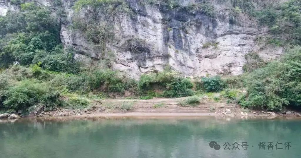 文史中的仁怀高粱(图6)