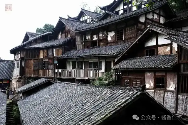 『仁怀物种』楠竹:自然馈赠里的生活哲学(图4) 『仁怀物种』楠竹:自然馈赠里的生活哲学(图4)