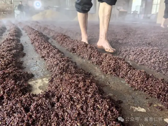 【岁末年初产区行】从老厂到酒庄:台典酒业的破茧“迎春”(图2) 【岁末年初产区行】从老厂到酒庄:台典酒业的破茧“迎春”(图2)