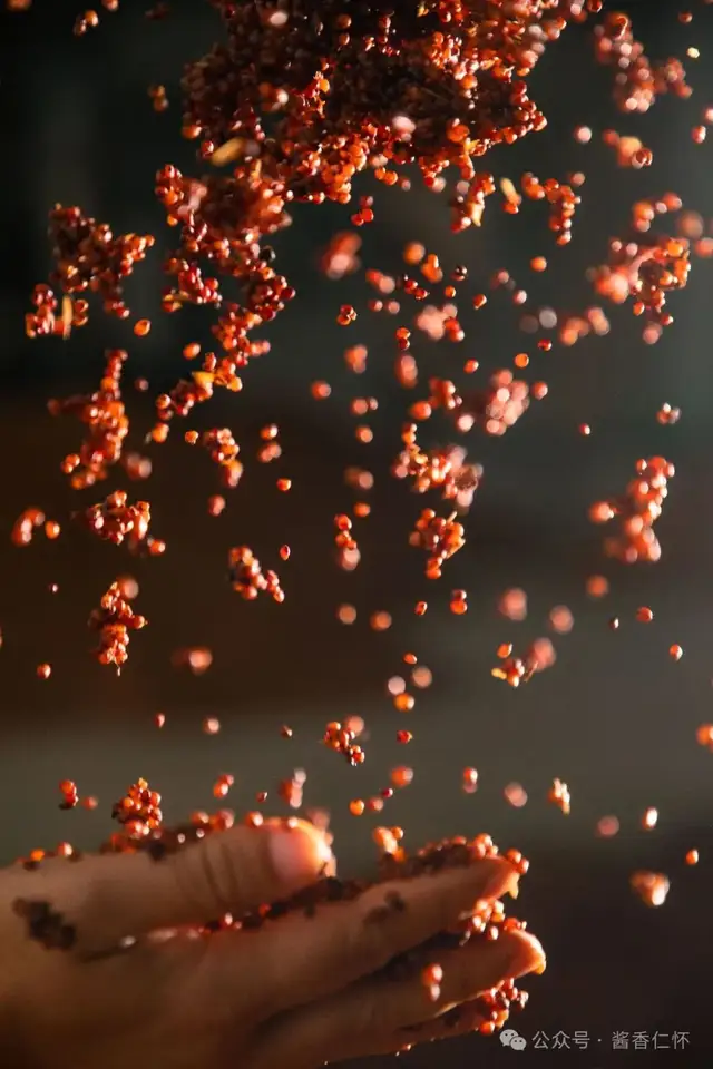 酱兴仁怀 逐梦新程(图2) 酱兴仁怀 逐梦新程(图2)