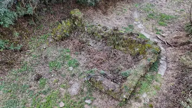 【寻仁迹】芦竹山寻访记(图5) 【寻仁迹】芦竹山寻访记(图5)