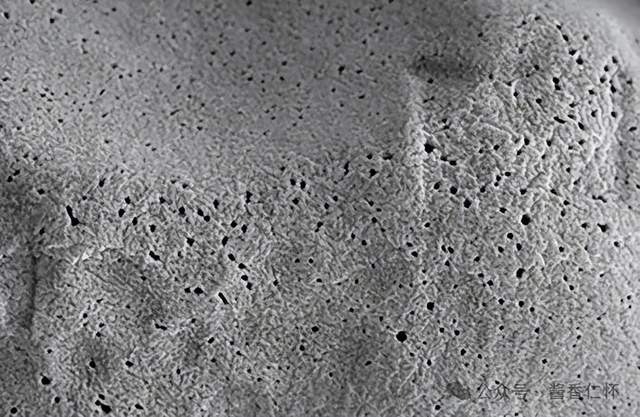 一粒高粱的“软实力”:红缨子淀粉的科学密码(图3) 一粒高粱的“软实力”:红缨子淀粉的科学密码(图3)