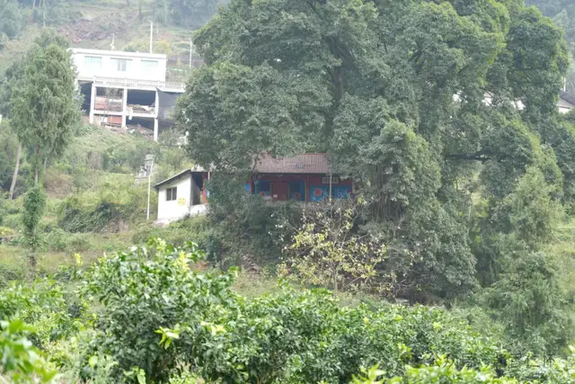 【寻仁迹】古韵焕彩两岔村(图4) 【寻仁迹】古韵焕彩两岔村(图4)