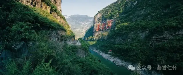 河谷四风 酱香四好(图1) 河谷四风 酱香四好(图1)