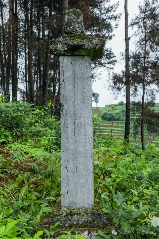 河谷四风 酱香四好(图2) 河谷四风 酱香四好(图2)