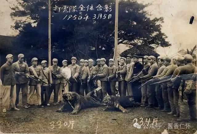 『仁怀物种』赤河虎踪(图2) 『仁怀物种』赤河虎踪(图2)